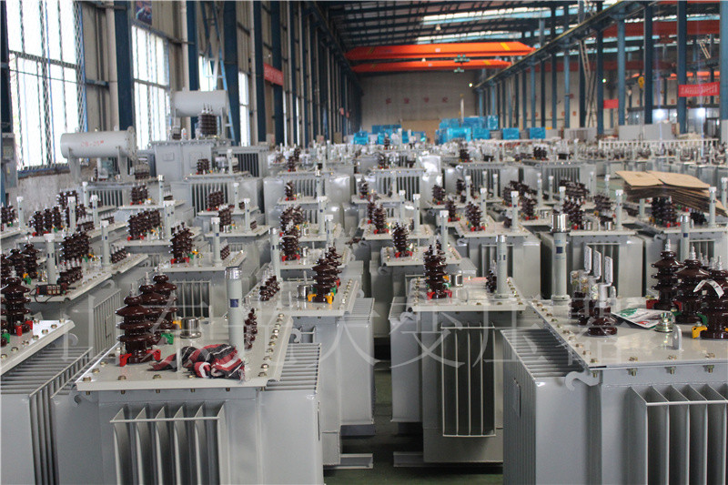 肇东S22-800KVA/10KV
